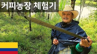 커피 하면 역시 콜롬비아 아닙니까 - 세계여행 콜롬비아 🇨🇴 [61]