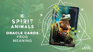 Frog Spirit Animal | Symbolism \u0026 Meaning Explained