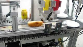 Automatic Hotdog Machine