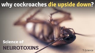 கரப்பான் பூச்சிகள் ஏன் தலைகீழாக இறக்கின்றன? | Neurotoxins | Saru | T-Science