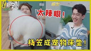 🔔太辣眼！杨笠被两只狗压在身下，狗狗发情了，这也太尴尬了吧！【脱口秀专场 Stand Up Comedy】