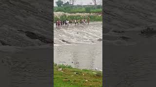 पानी पानी भोजपुरी | Khesari Lal | Akshara Singh | Badshah | Rini C | Paani Paani Bhojpuri Gana 2022