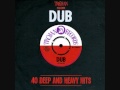 One Train Load Of Dub - The Observers