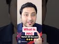 what is ppc advertising what is pay per click advertising ppc explained marketing ppc