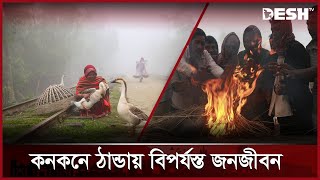 কনকনে ঠান্ডায় বিপর্যস্ত জনজীবন | Winter | Live | News | Desh TV