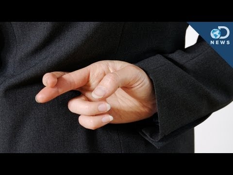How To Tell The Perfect Lie How To Tell The Perfect Lie