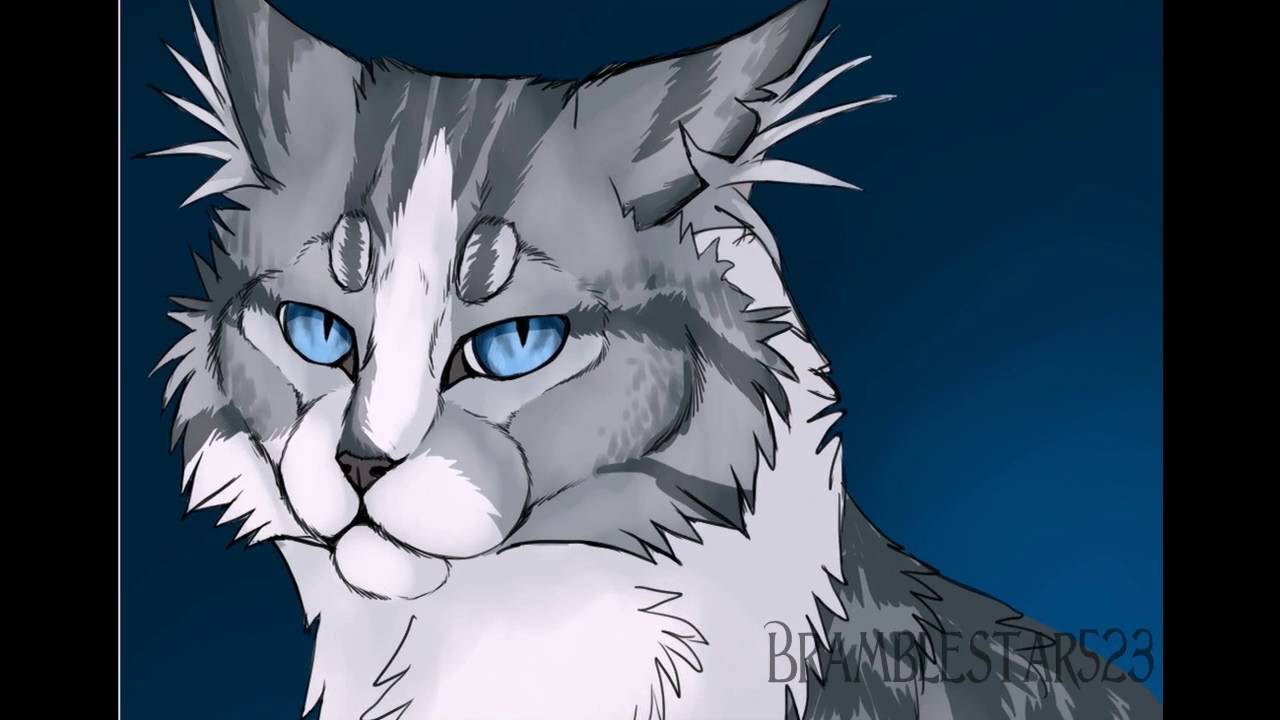 Warriors Cats Speedpaint Ivypool Youtube