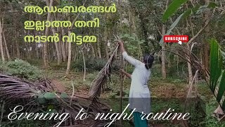 ആഡംബരങ്ങൾ ഇല്ലാത്ത തനി നാടൻ വീട്ടമ്മ|Evening vlog|A day in my life|village lifestyle