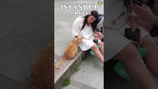 😍Istanbul Sirkeci