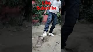 साँप ने काट लिया /#shortvideo #vairalshort #shortfeed #snakebite