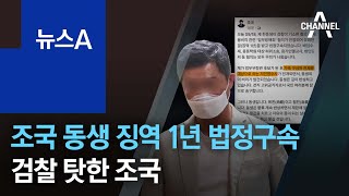 ‘채용비리’ 조국 동생 징역 1년 법정구속…검찰 탓한 조국 | 뉴스A