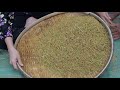 traditional pounded rice in my country cambodia polin lifestyle