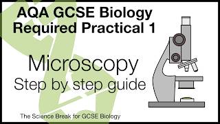 Biology Required Practical: Microscopy | AQA GCSE Biology paper 1