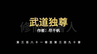 武道独尊0381-0390【修仙說書人】【有聲小說】