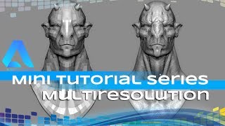 Multiresolution - Mini Tutorial Series