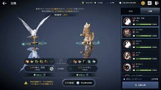 【黒い砂漠モバイル】ペット 7拡張【Black Desert Mobile】【검은사막M】