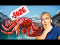 WE ATE $426 CRAB LEGS IN ALASKA!