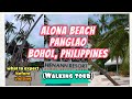 PANGLAO BEACH BOHOL (walking tour 2024) with different international restaurants