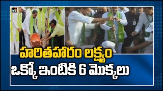 హరితహారం లక్ష్యం.. ఒక్కో ఇంటికి 6 మొక్కలు | 7th Phase Of Haritha Haram In Telangana | 10TV News