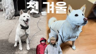 평생 밖에서 겨울을 보낸 누리의 첫 실내 겨울나기(feat. 엄살쟁이 오빠들)