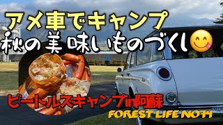 アメ車でキャンプ🎵アスペクタinビートルズキャンプ。美味しいお酒とカニで秋の夜長。車壊れてるかもしれない😅  forest life No74