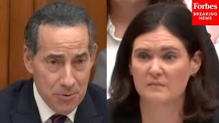 Jamie Raskin Asks Witness: 'Is The Southern Poverty Law Center A Hate Group Like The Ku Klux Klan?'