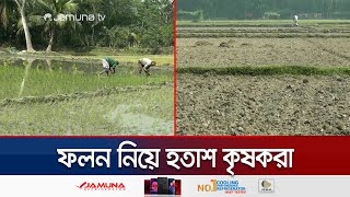 লক্ষ্মীপুরে সেচ সঙ্কটে ব্যাহত বোরো ধানের আবাদ; হতাশ কৃষকরা | Laxmipur Irrigation Crisis | Jamuna TV