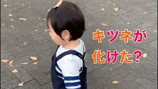 頭の上に葉っぱを乗せてお散歩する姿が可愛い!! 1歳5ヶ月