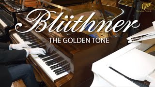 BLÜTHNER Model 6 Restored Grand Piano at Sherwood Phoenix