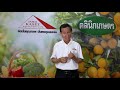 ep65 คลินิกเกษตร ทำไมโรคแมลงศัตรูพืชระบาดมาก