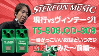 【TUBE SCREAMER】新旧入り乱れバトルロイヤル！新旧TS-808、OD-808を比較してみた 【前編】