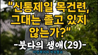 “신통제일 목건련, 그대는 졸고 있지 않는가?“,-붓다의 생애(29)-