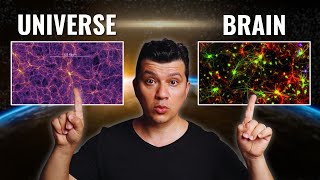 Could the Universe Be a Giant Brain?