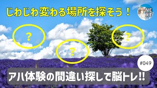 『アハ体験間違い探し』で脳トレ！ #49 「ラベンダー畑」「ニワウメの花」「青い自動車」【超難】｜Aha Experience Spot the Differences