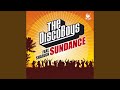 Sundance (feat. Shafagh) (Radio Edit)