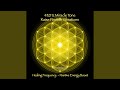 432Hz Miracle Tone With 528Hz Solfeggio Frequency