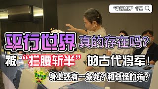 【个案疗愈ep12】“平行世界”真的存在吗？学员突然间课程中崩溃😱他是来自古代的将军😲可是被“拦腰斩半”❓而且身上跟着一条龙和奇怪有法术的布❓ #清理疗愈课程 #玄学 #平行世界 #PRA013