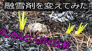 融雪剤　どれを使ったら良い？