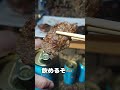 応募券　送る