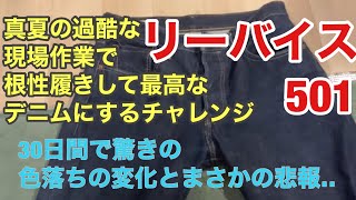 リーバイス501を真夏の過酷な現場作業で根性履きして最高なデニムにするチャレンジ 30日間で驚きの色落ちの変化とまさかの悲報‥