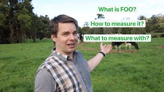 What is feed on offer and the different pasture measurement techniques for determining FOO?