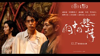 ✑金馬影展秒殺完售異色之作《雨中的慾情》｜12/27 跨年檔上映