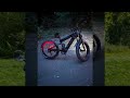 important details about the freesky alaska electric bike