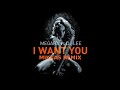 megara vs. dj lee i want you mikkas remix mikkas classic