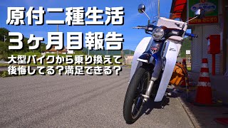 【レビュー】原付二種のスーパーカブC125に乗り換えて3ヶ月たちました