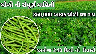 ચોળી ની ખેતી ની સંપૂર્ણ માહિતી | 3,60000 આવક કરી ખેડુતમિત્ર | દરરોજ ની 12000 ચોળીની આવક | #ચોળી