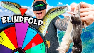 Spin the Wheel and Feed the Snake!