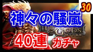 【シャドバ】復帰を掛けた40連ガチャで奇跡は起こるか！【神々の騒嵐】