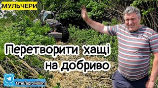 Розчищаємо запущений сад! Будемо сіяти кукурудзу. Мульчер для дерев Prinoth M700 із Fendt 1050