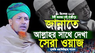 জান্নাতে আল্লাহর সাথে দেখা হবে সেরা ওয়াজ | Mufti Waliullah New Waz 2024 | মুফতি ওয়ালিউল্লাহ 2024